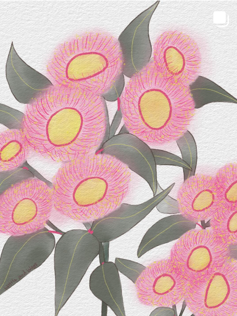 Illustration of pink flowers with yellow centers and green leaves on a white background.