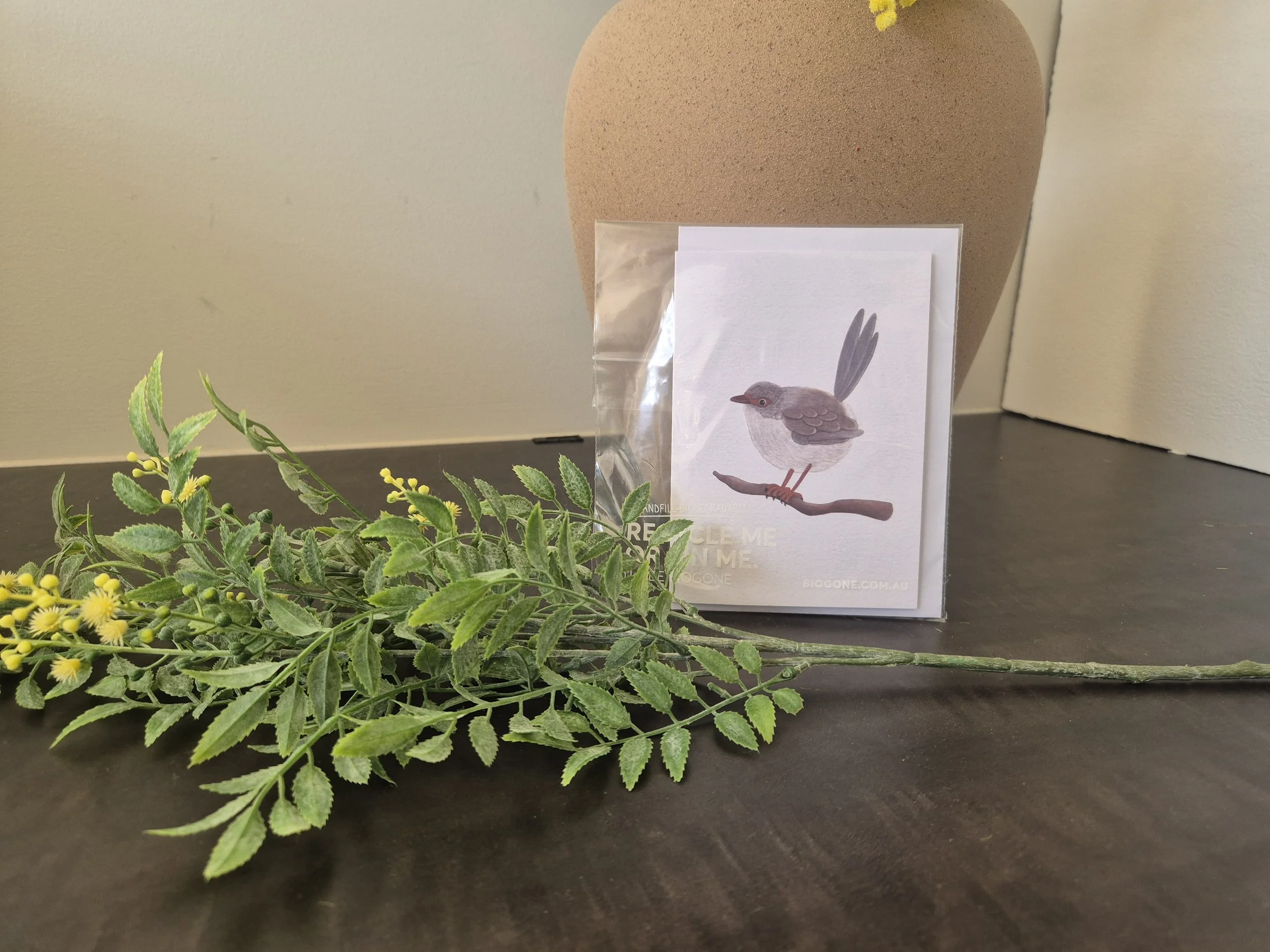 Fairywren plain pkg.jpg