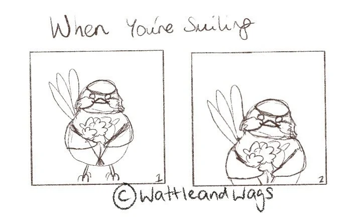 Two thumbnail sketches of a superb fairywren holding a bunch of flowers between its wings. The first image shows the Fairywren's full body, while the second image is cropped more tightly and only shows from the waist up.