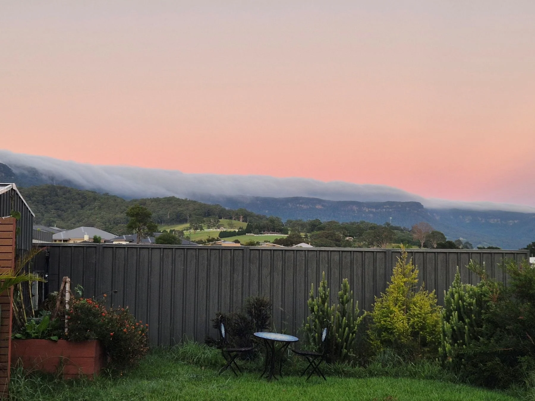 A photo of a backyard with native Australian plants at sunset. The plants include melaleuca, woolly bush and bottlebrush. The Illawarra Escarpment is in the background of the photo, with rolling clouds perching atop the mountain ridges.