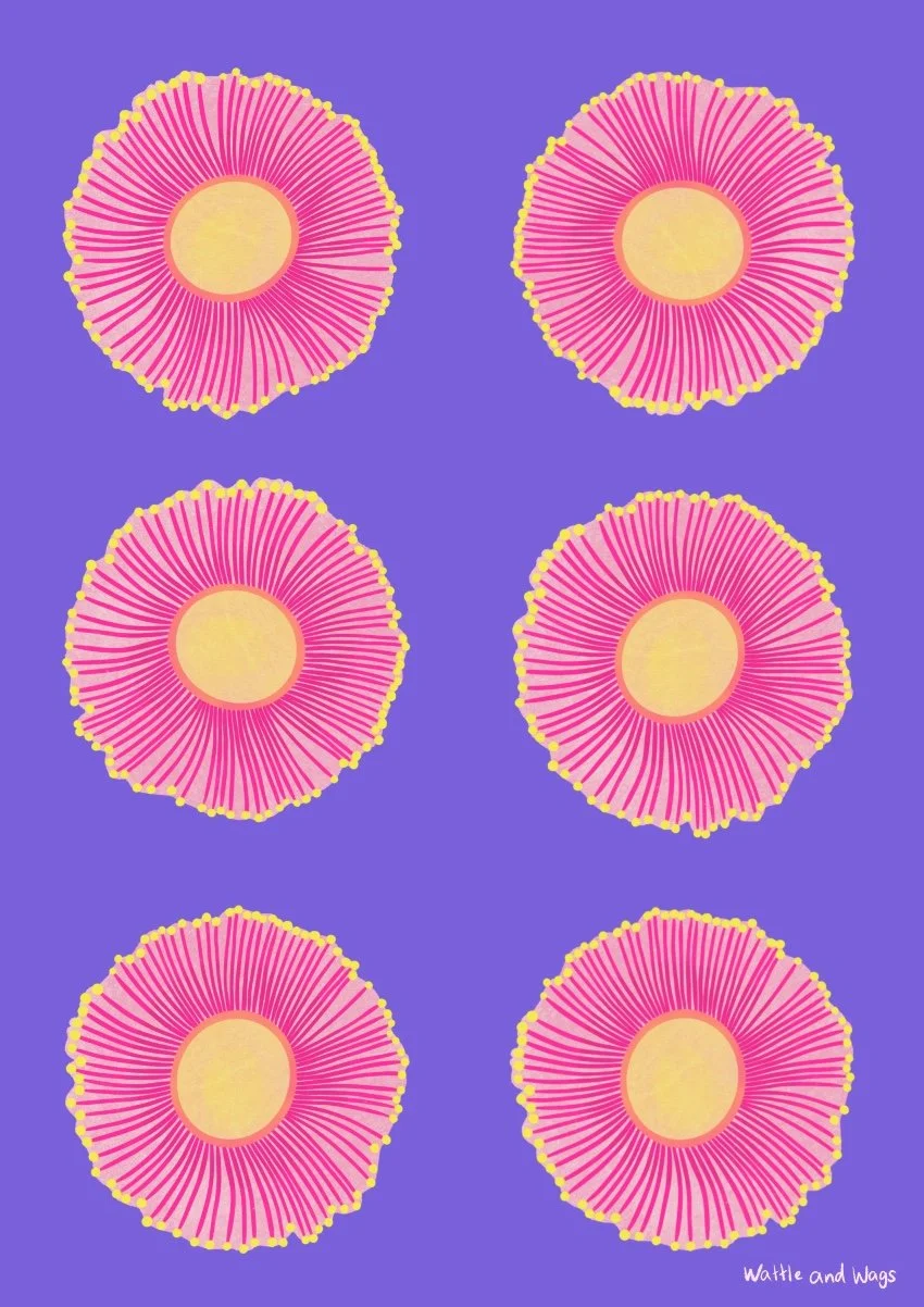 Six pink and yellow vibrantly coloured abstract pink gum flower illustrations arranged in two columns against a purple background, with the text 'Wattle and Wags' in the bottom right corner.