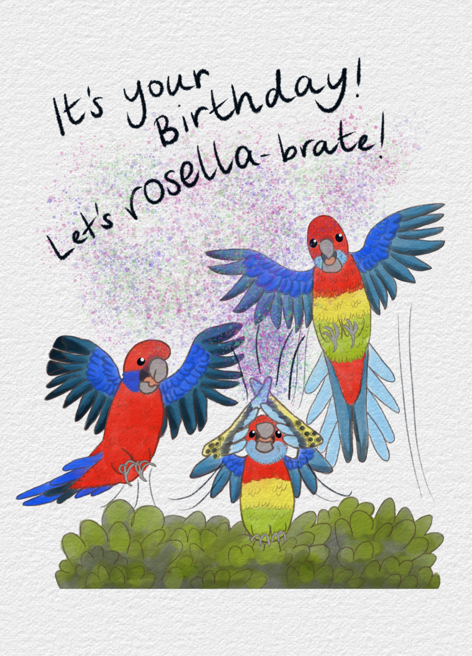 Rosellabrate_2.png (Copy)
