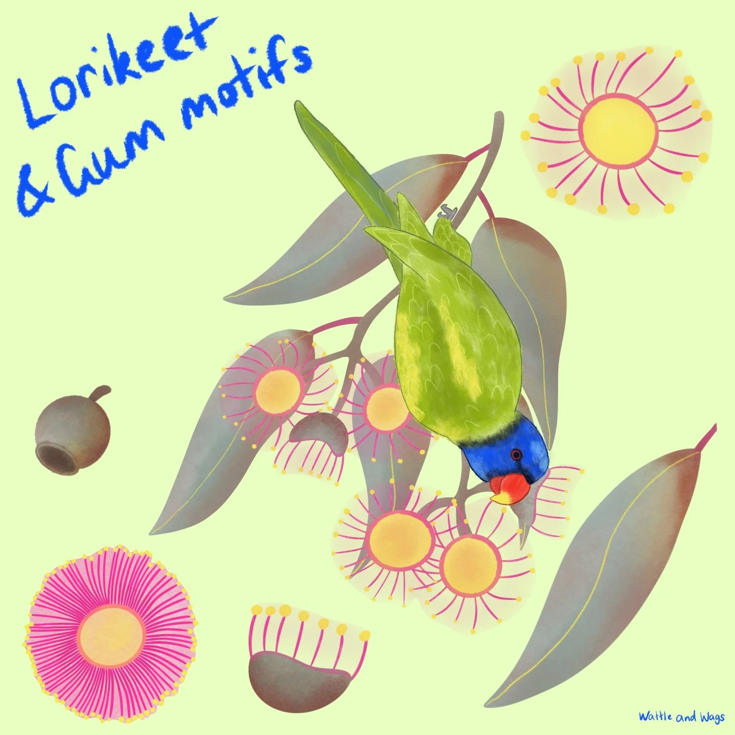 Lorikeet & Gum Motifs