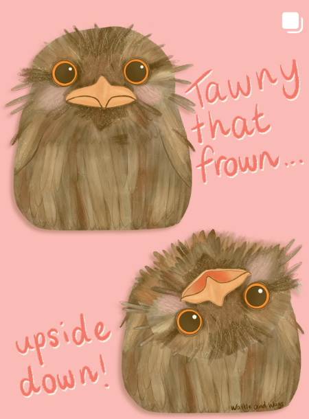 Two illustrated birds with large eyes and beaks, one facing upright and the other upside down, with pink text saying "Tawny that frown... upside down!" on a pink background.