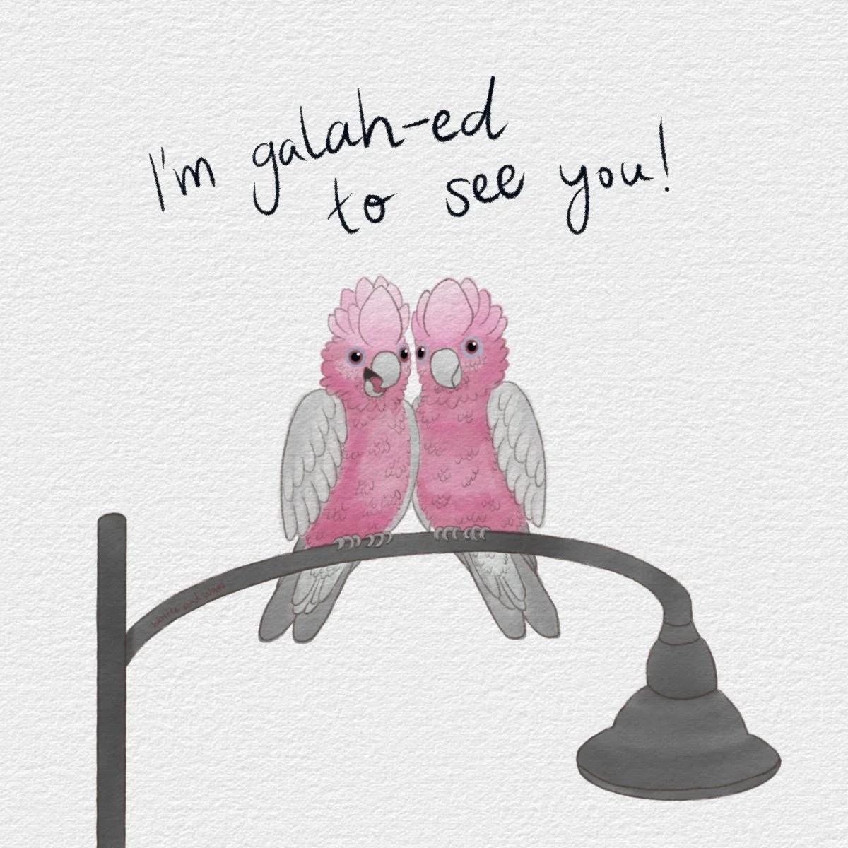 I'm galah-ed square