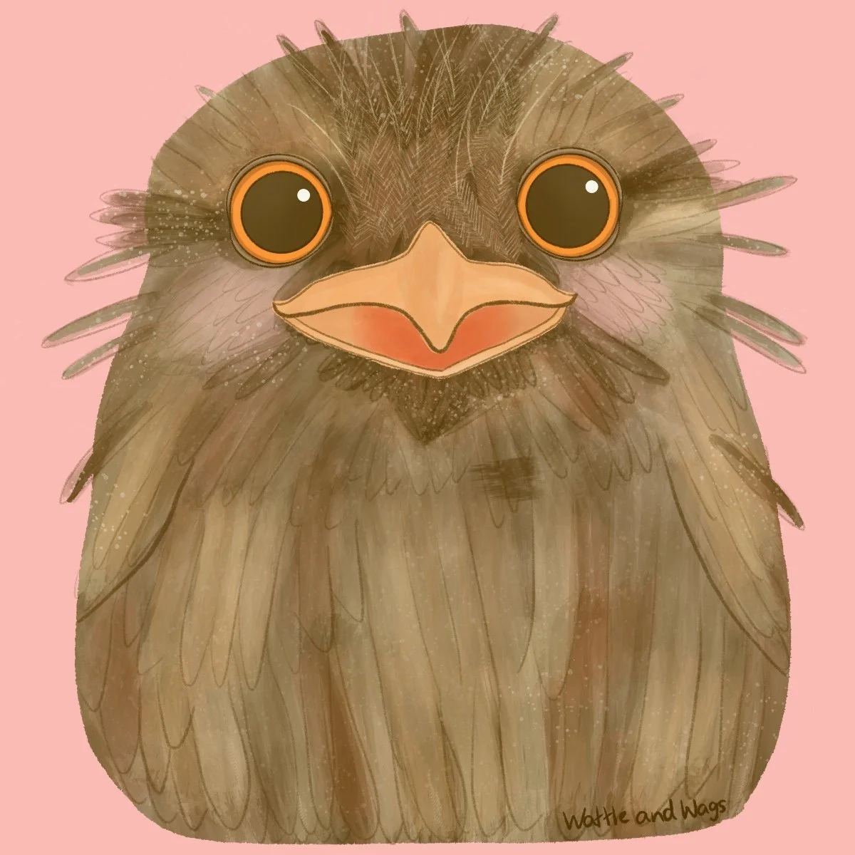 Illustration of a cute, cartoonish tawny frog mouth with large orange and black eyes and a soft pink background.