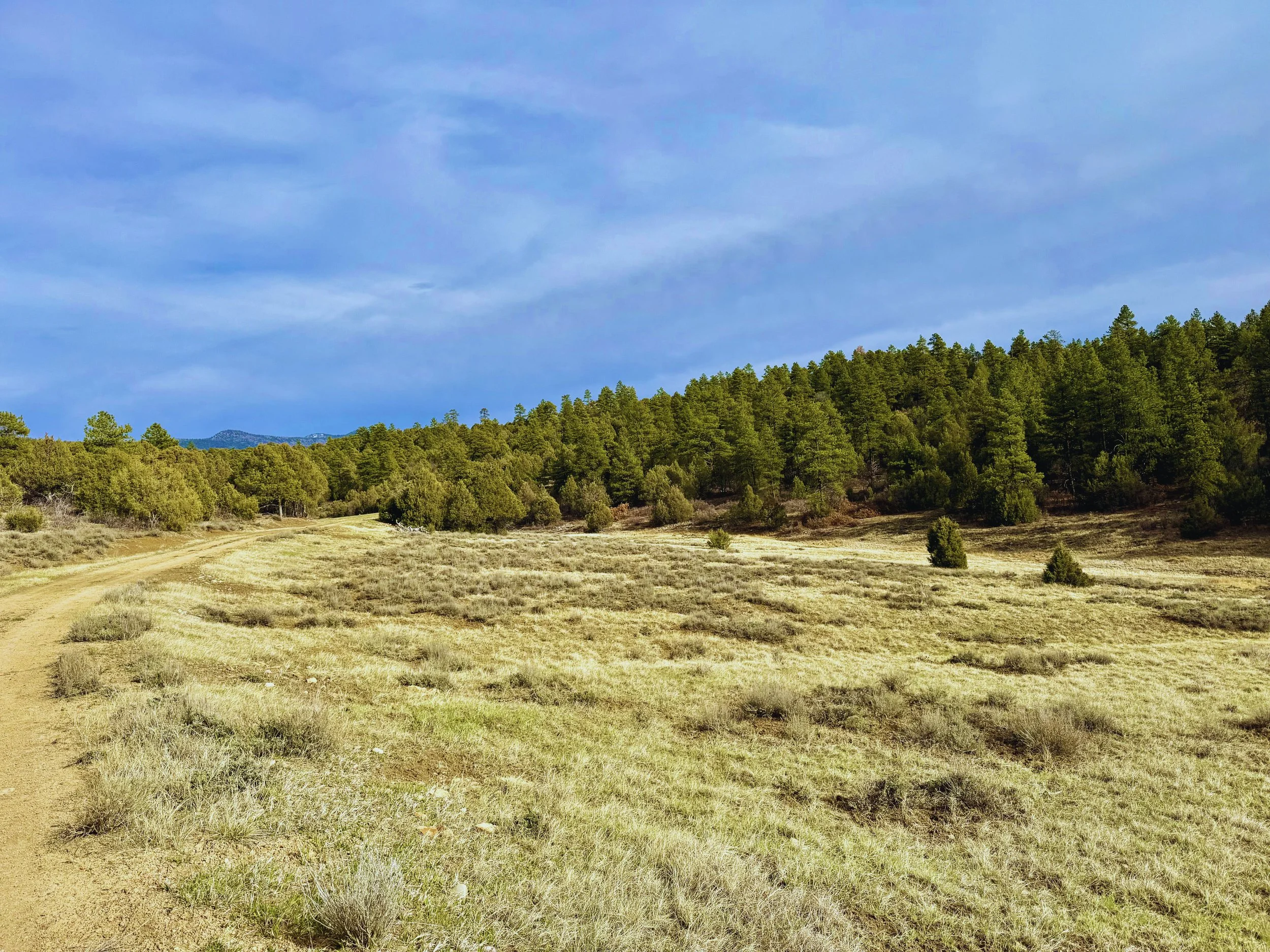 Open grassy field with a dirt path winding through it, surrounded by trees, under a partly cloudy sky.