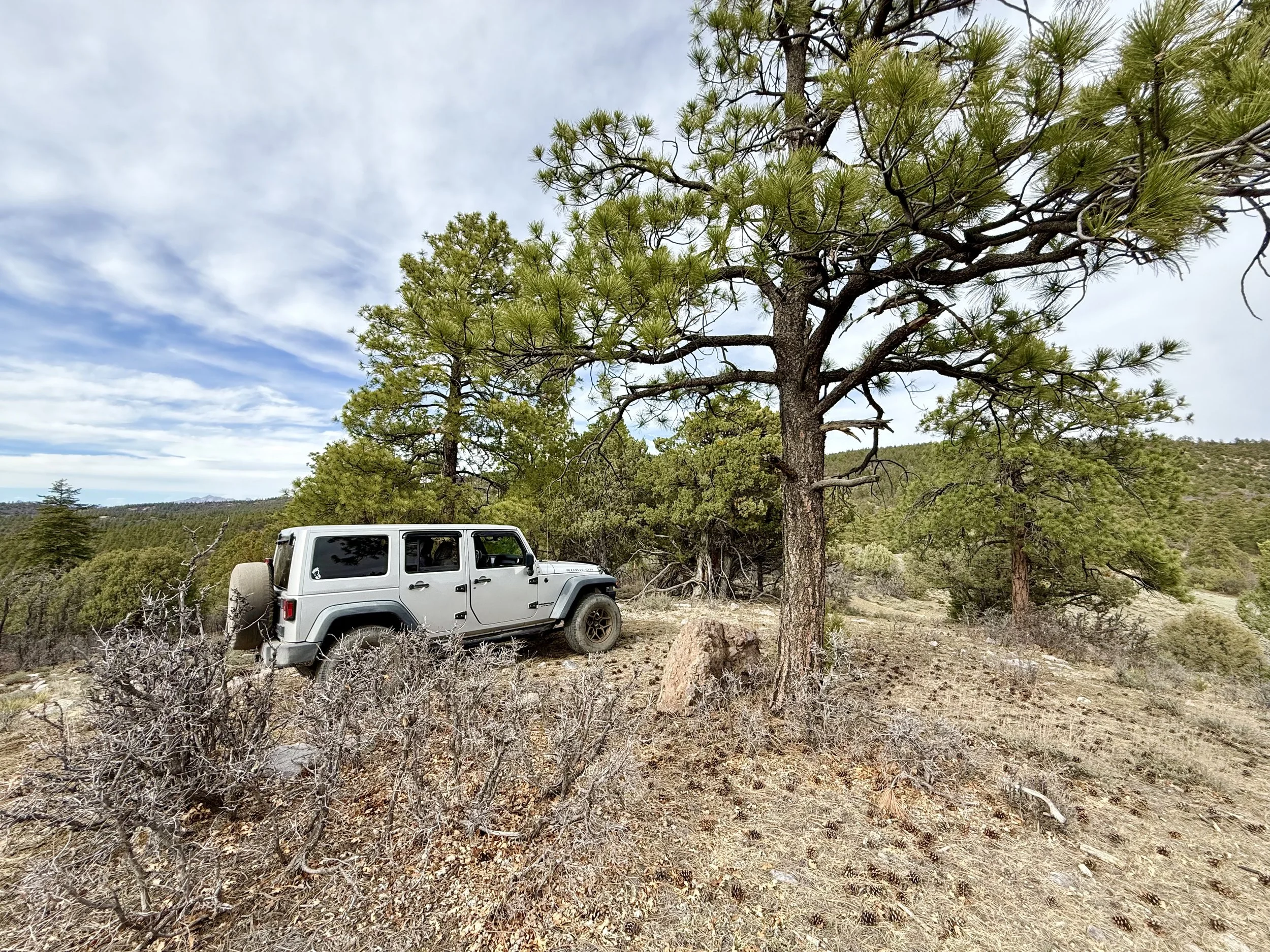A silver Jeep Rubicon parked on a dirt trail in a forested area with pine trees and a cloudy sky.