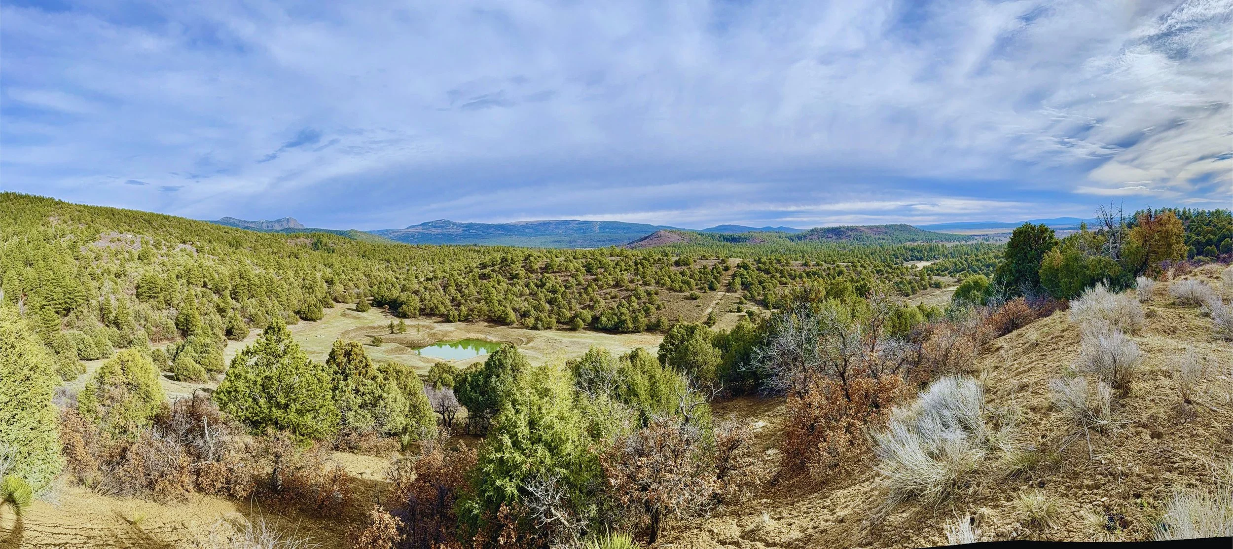 A panoramic view of a lush, green forested landscape with a small pond, under a partly cloudy sky with distant mountains on the horizon.