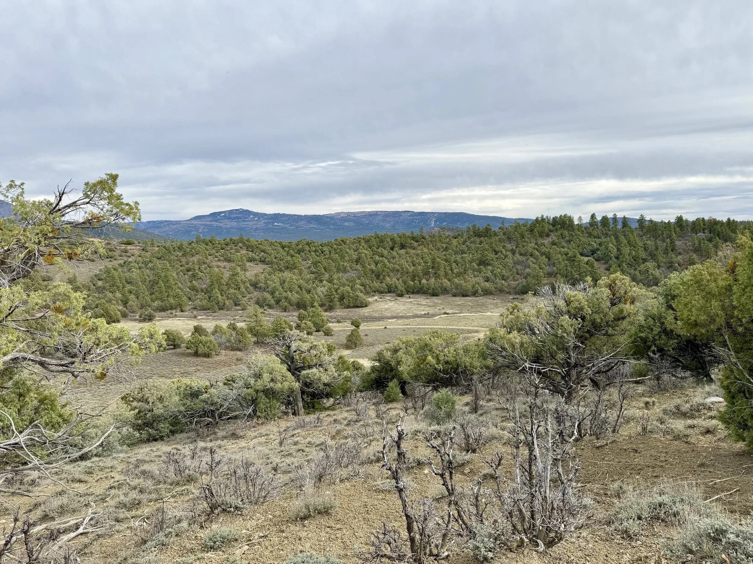 Scenic landscape with rolling hills, green trees, distant mountains, and a cloudy sky.