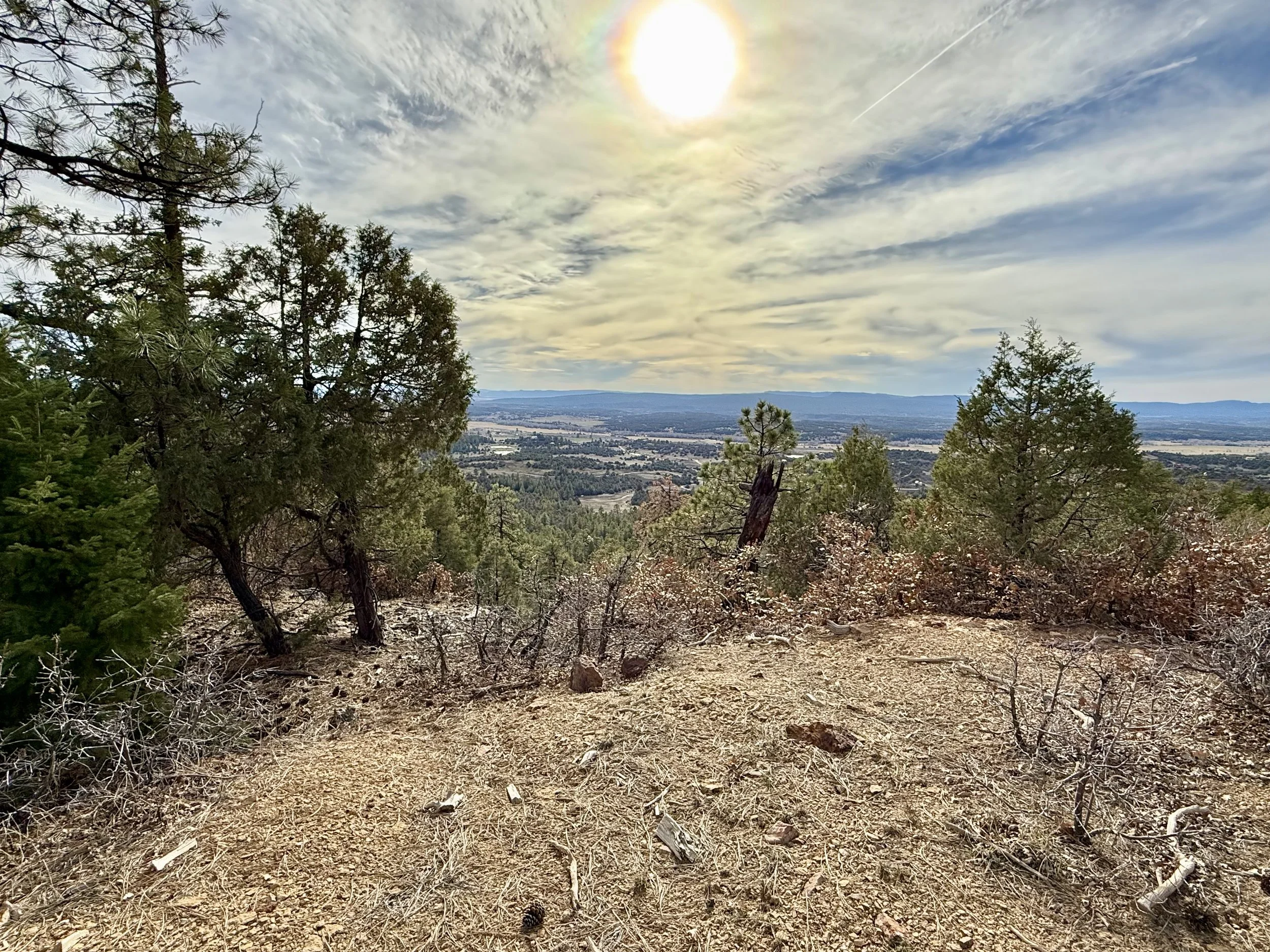A landscape view from a high elevation featuring a mix of trees in the foreground and a distant view of a valley with fields and a cityscape under a partly cloudy sky with a bright sun and some lens haze.