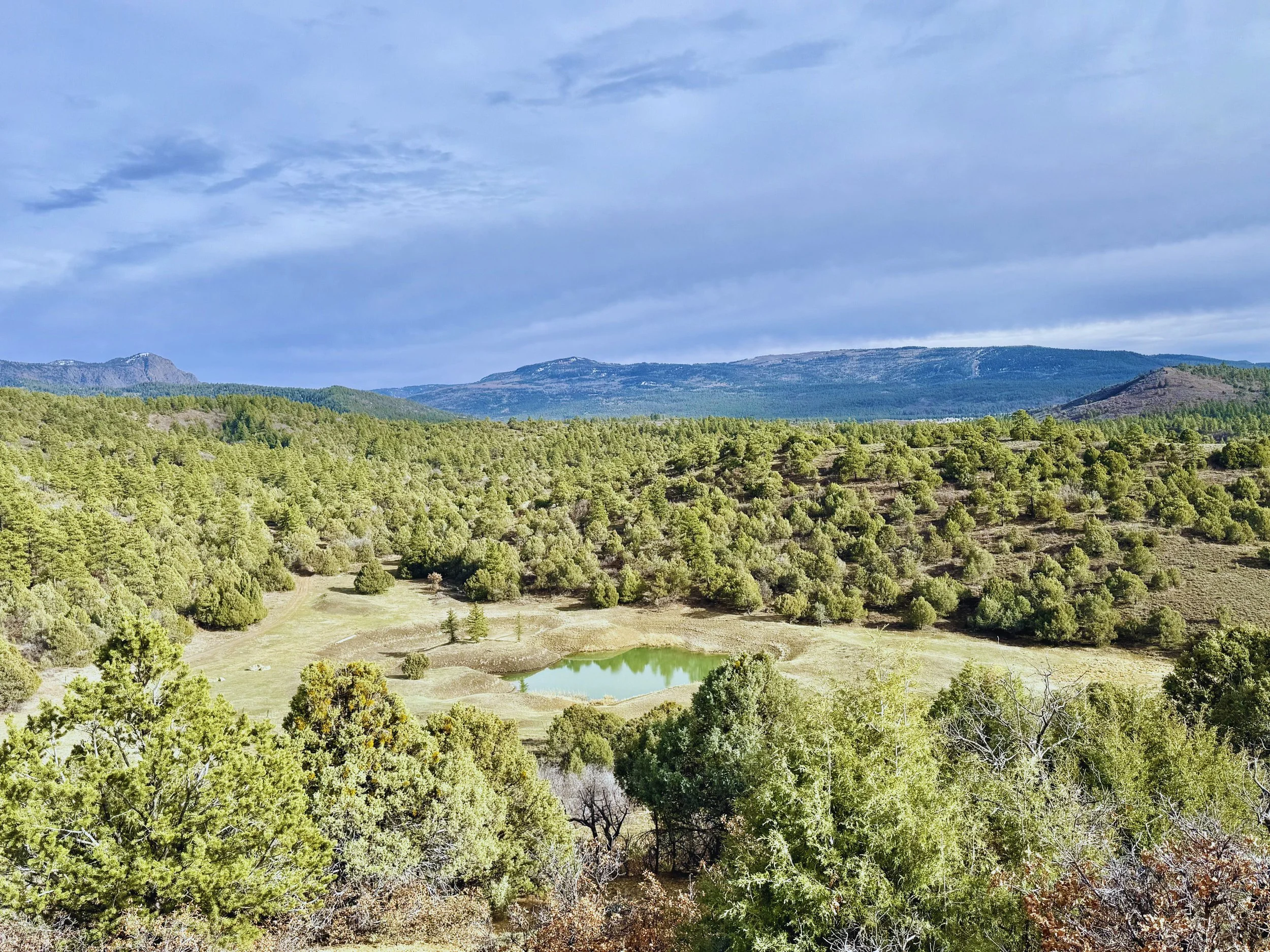 A scenic landscape with dense green trees, a small pond, rolling hills, and mountains under a partly cloudy sky.