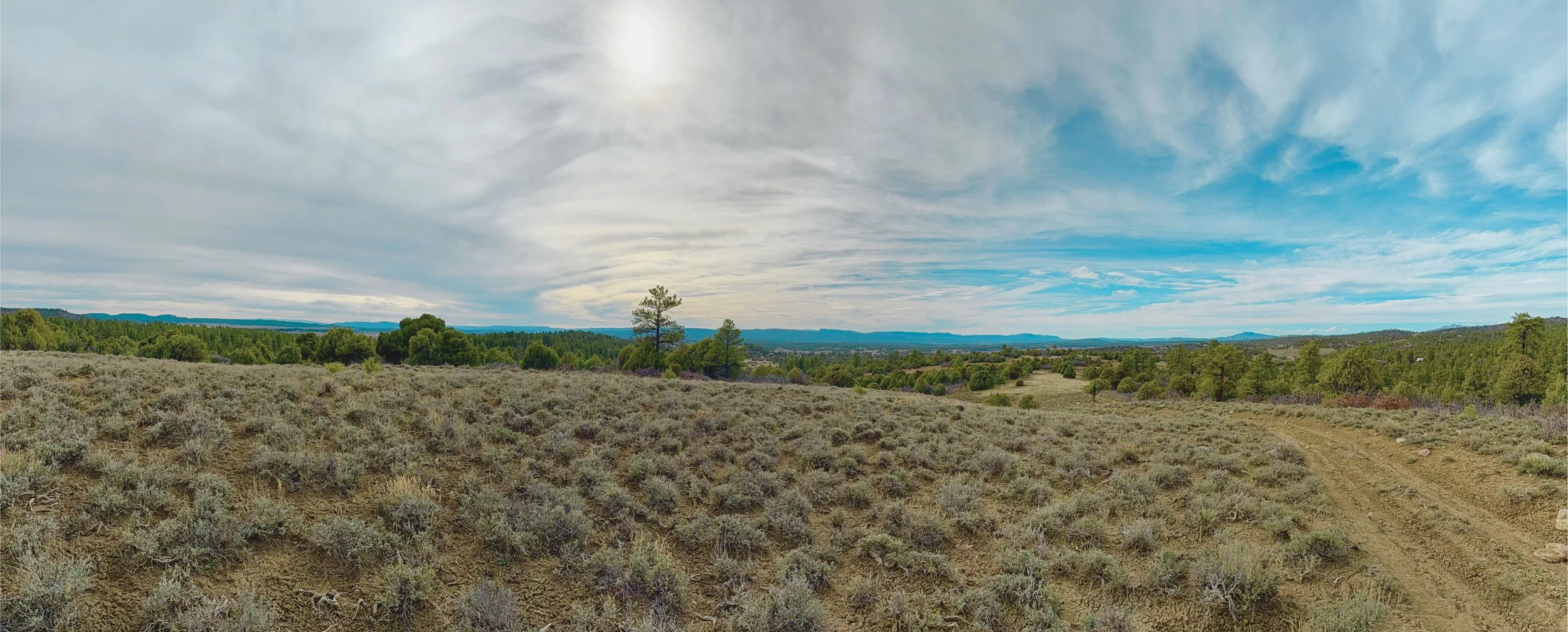 A vast open landscape with low shrubs in the foreground, scattered trees, and rolling hills under a partly cloudy sky.