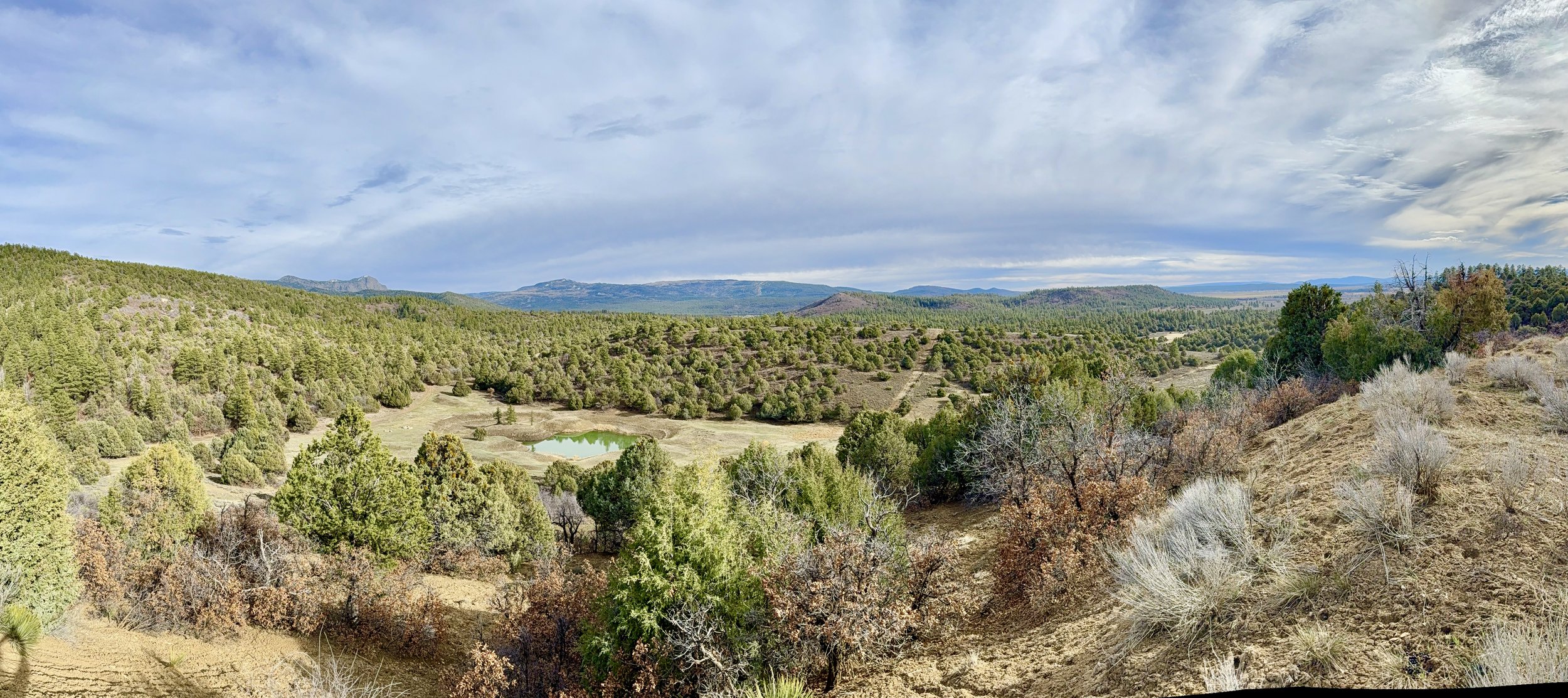 A vast landscape with rolling hills and dense forest, a small pond in the valley, and a partly cloudy sky overhead.