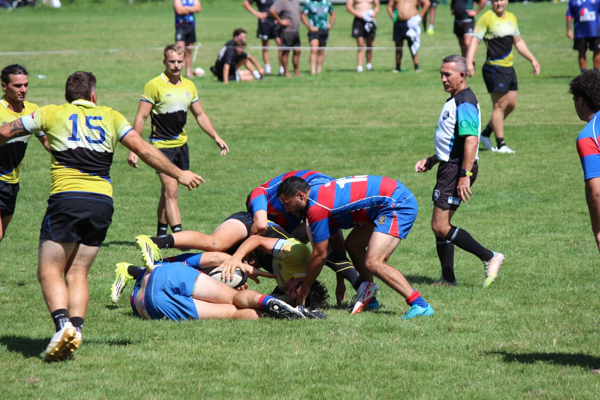 CHB-Rugby 
