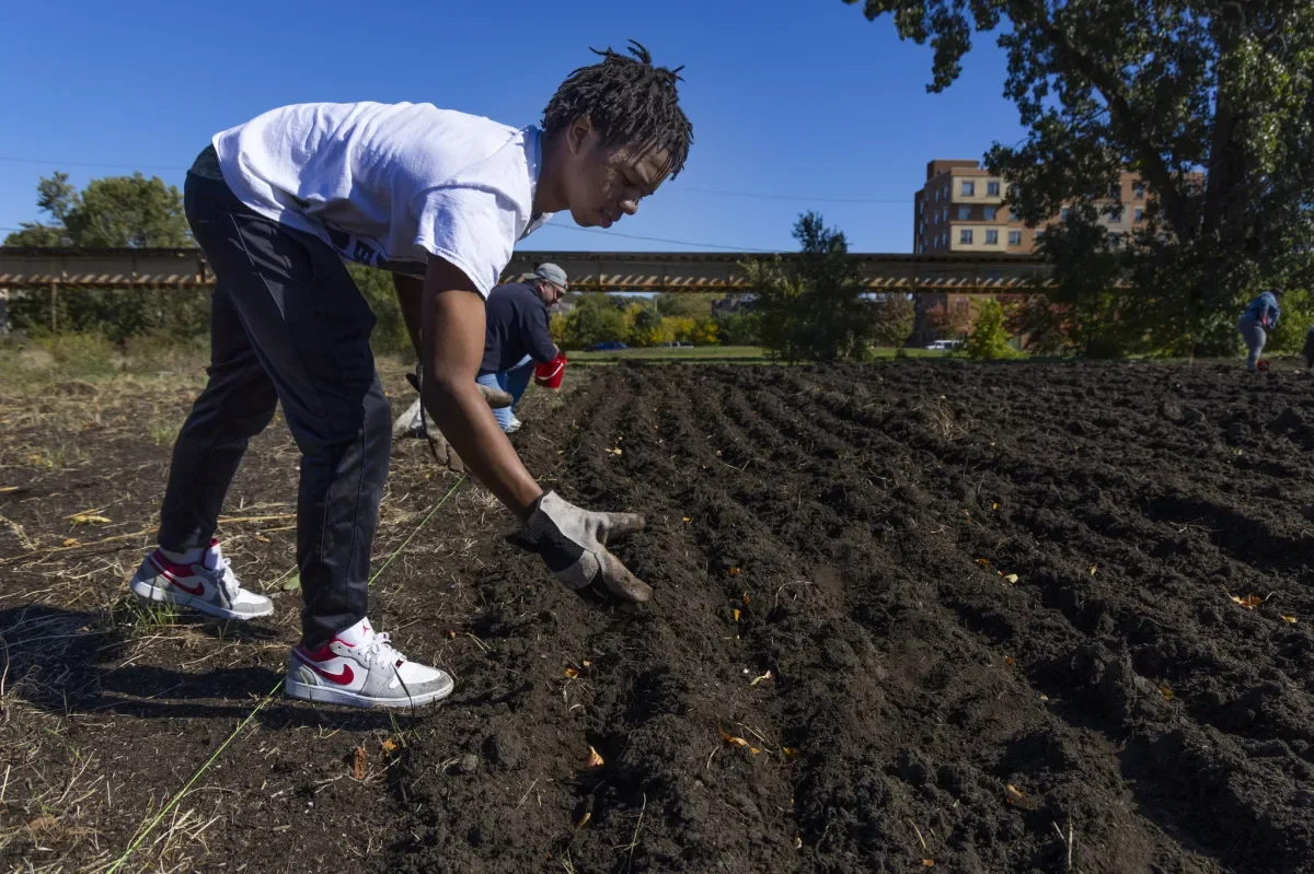 MacArthur grant recipient Amanda Williams’ latest public work looks at the history of redlining through 100,000 red tulips