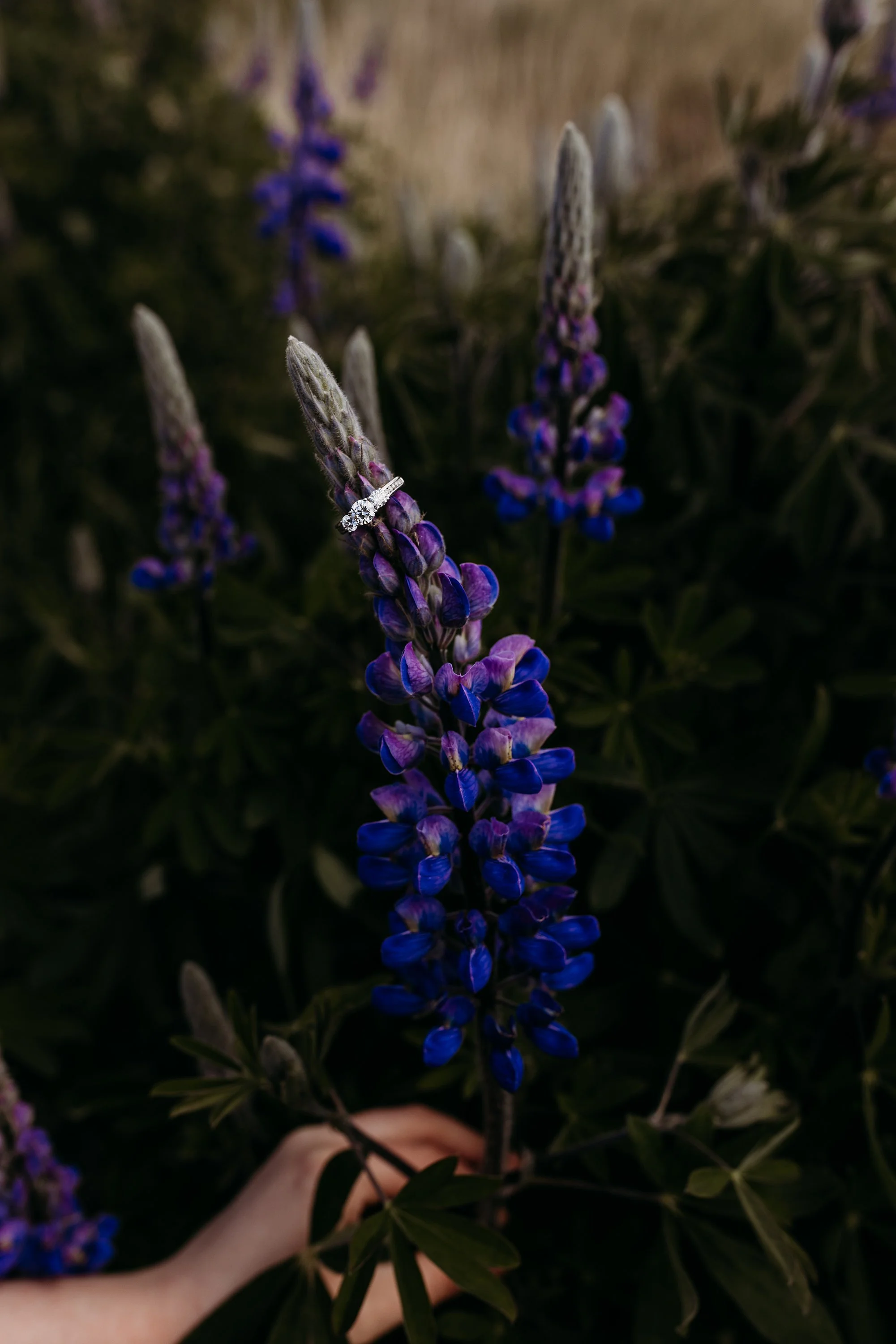 _X8A0846.jpg