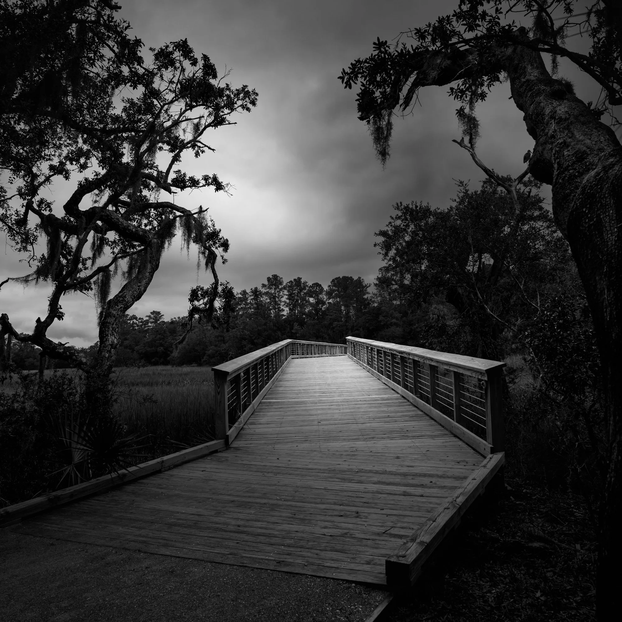 KHP-DANIELS EXIT.jpg