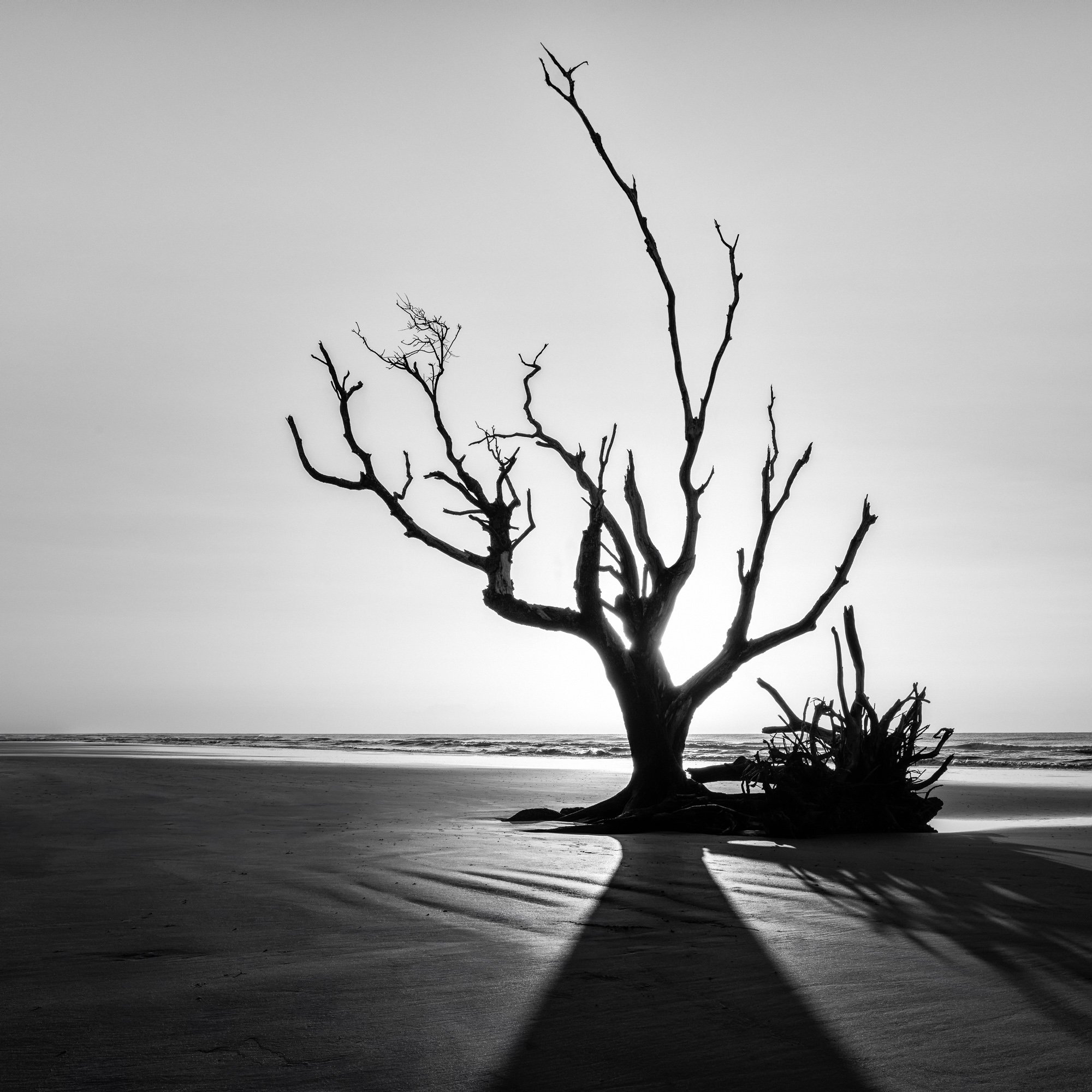 KHP-Dead Writers - Faulkner.jpg