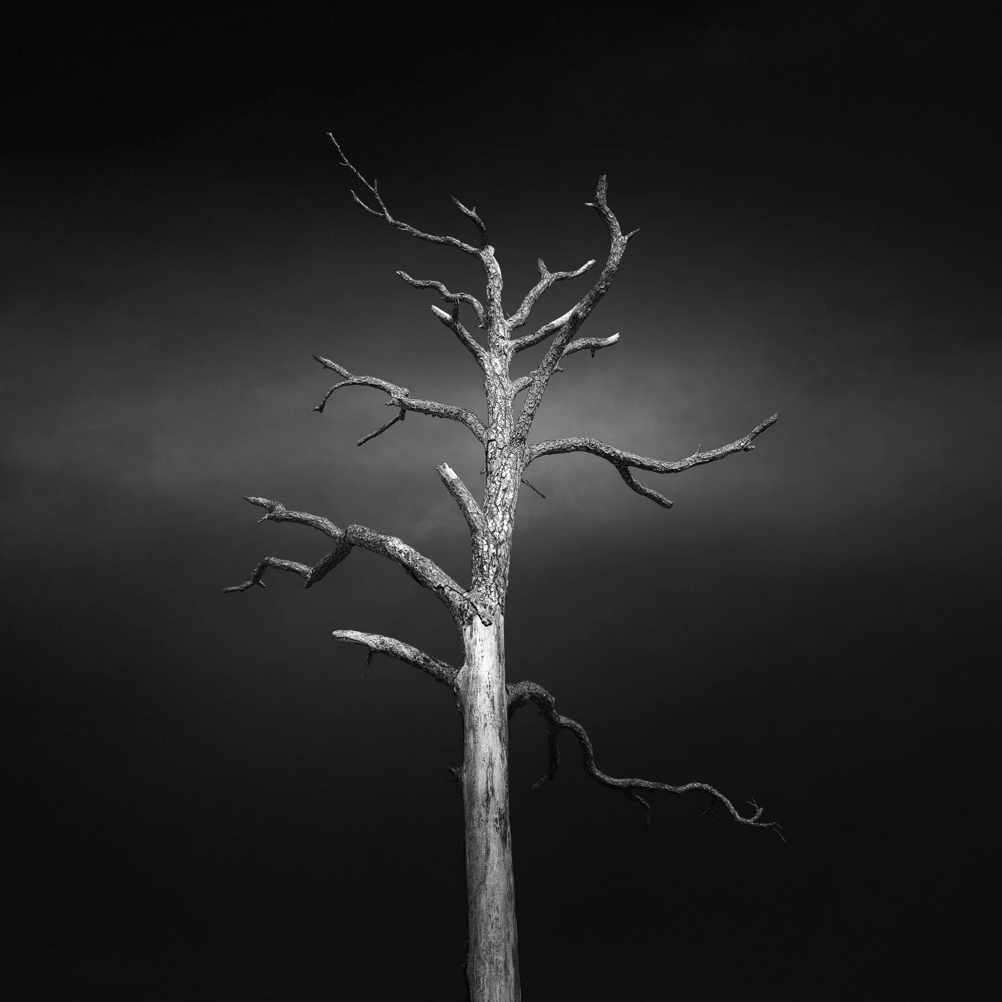 KHP-Dead Writers - Hitchcock.jpg