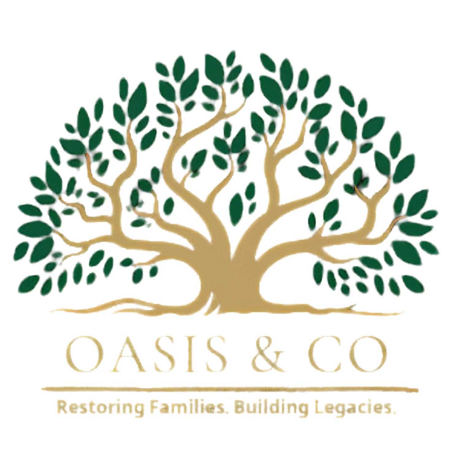 Oasis &amp; Co