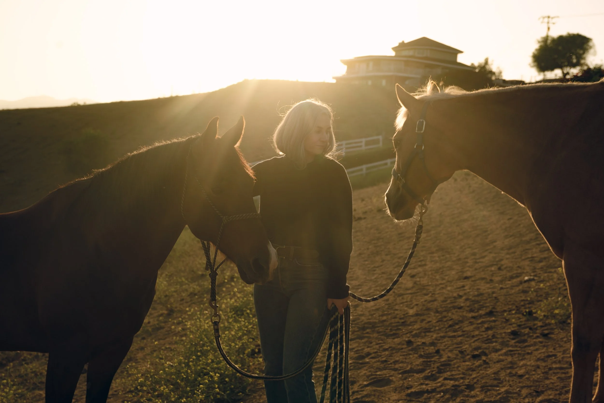 A woman standing between two horses during sunset or sunrise, with a building and trees in the background.