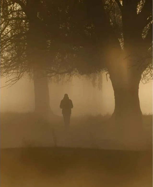 A silhouette of a person walking on a foggy path between large trees, with sunlight filtering through the branches.