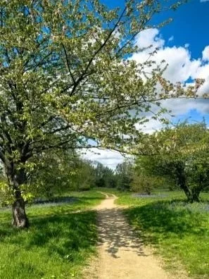 A dirt trail running through a lush green park with trees and a blue sky with clouds.