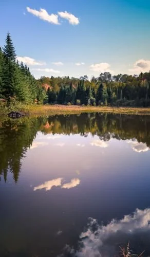 Calm lake reflecting trees and sky with clouds, surrounded by a forest in the background on a clear day.