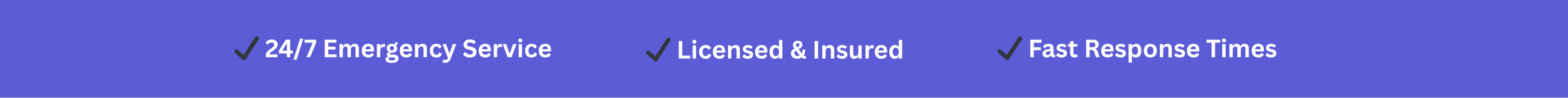 Blue banner with white text highlighting emergency services, licensed and insured, and fast response times.