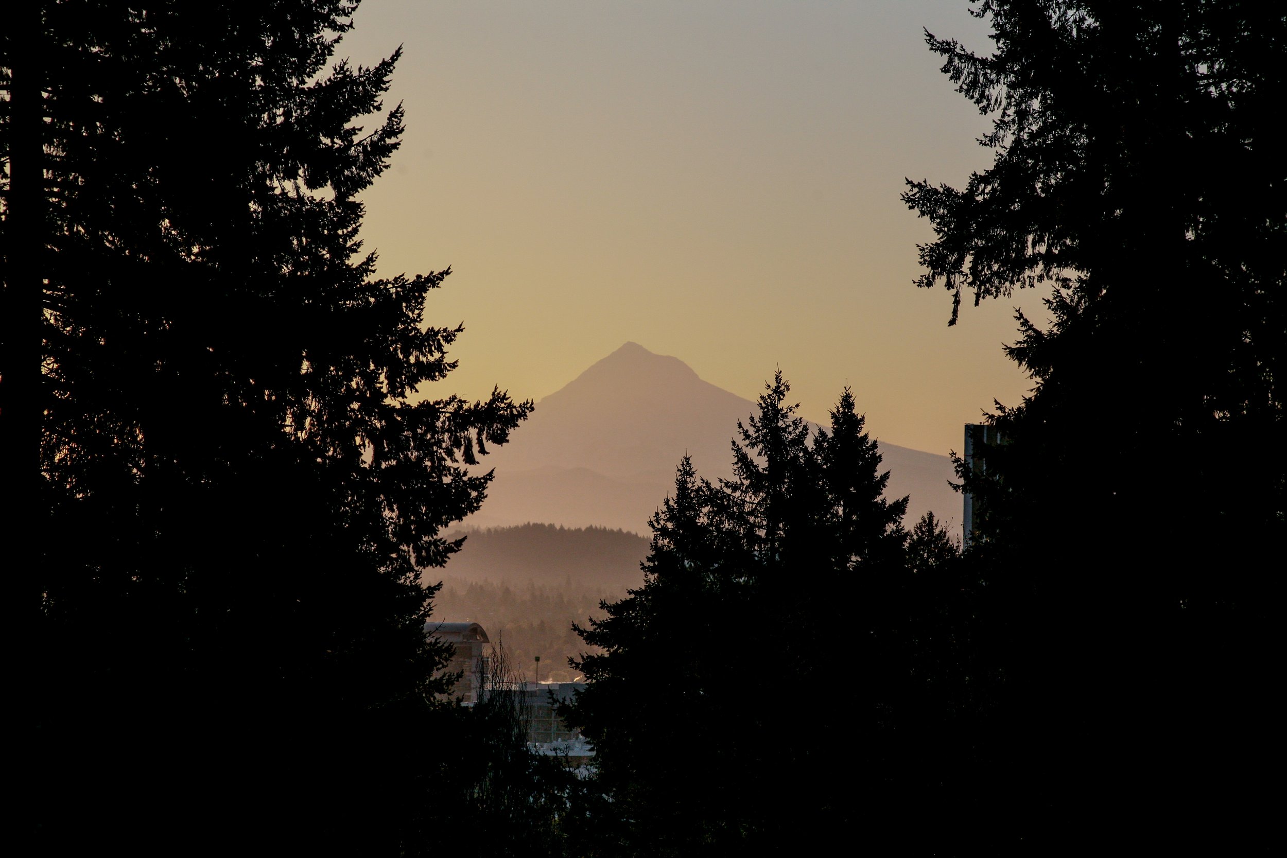 IMG_7379.JPG