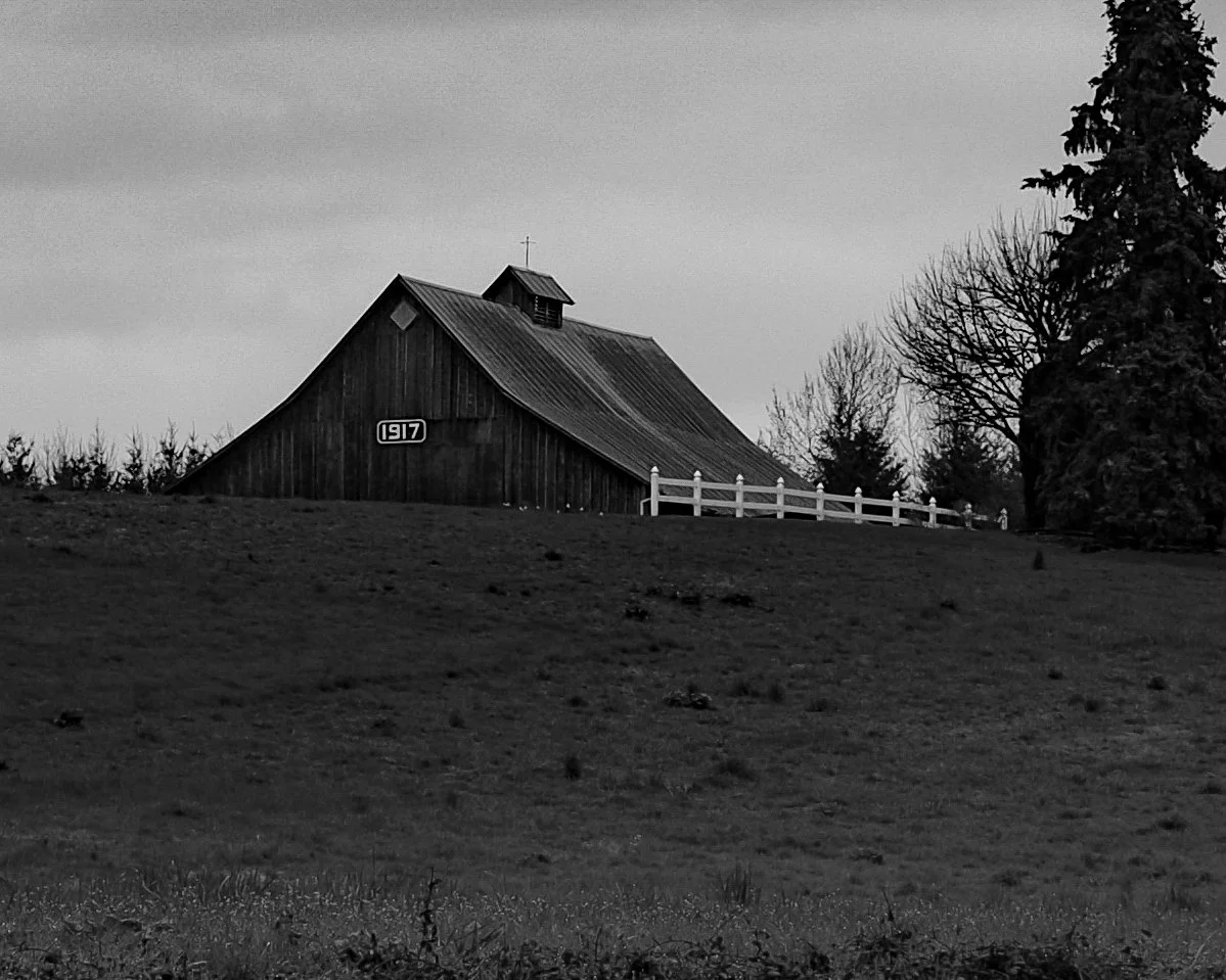 P3213227 2.JPG