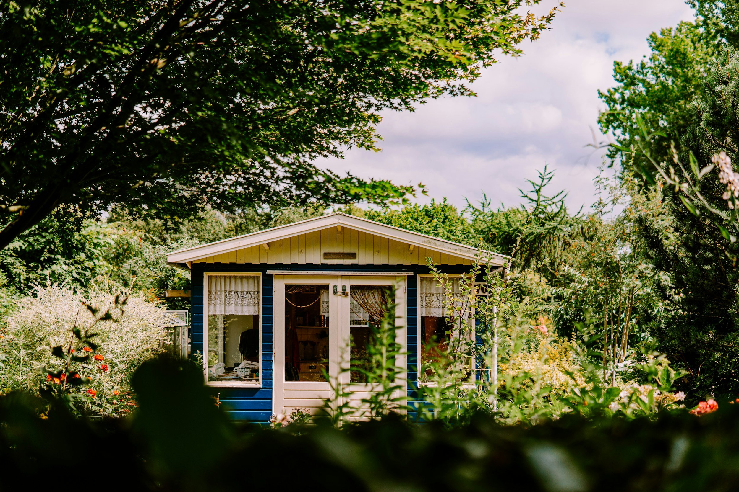 A small house with blue walls and white trim, seen through dense greenery in a lush backyard garden with various plants and trees.