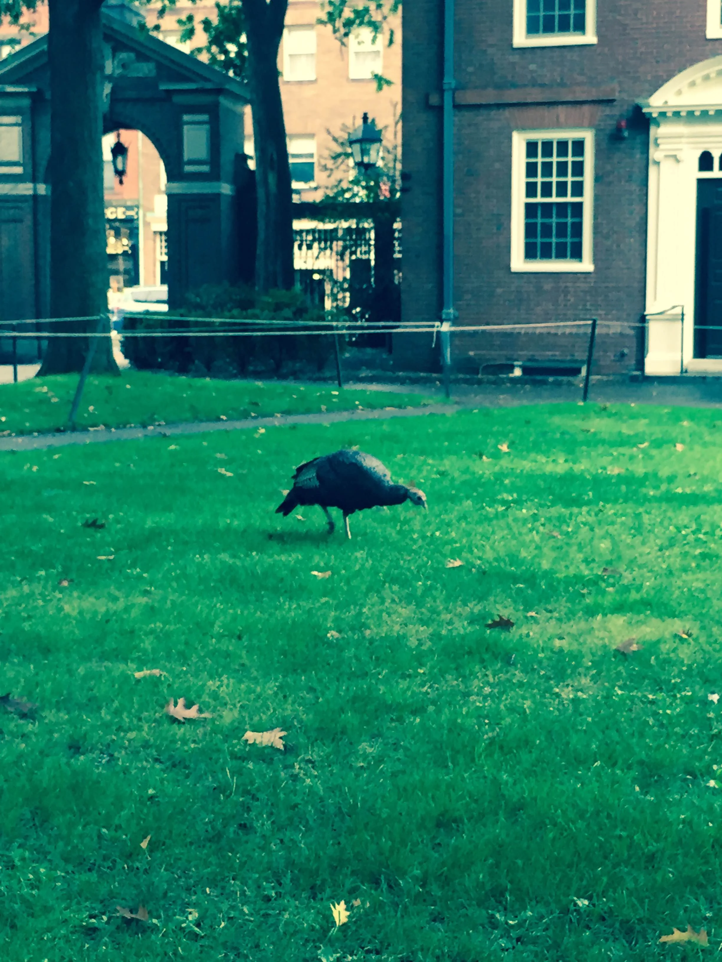 11-02am wednesday.JPG