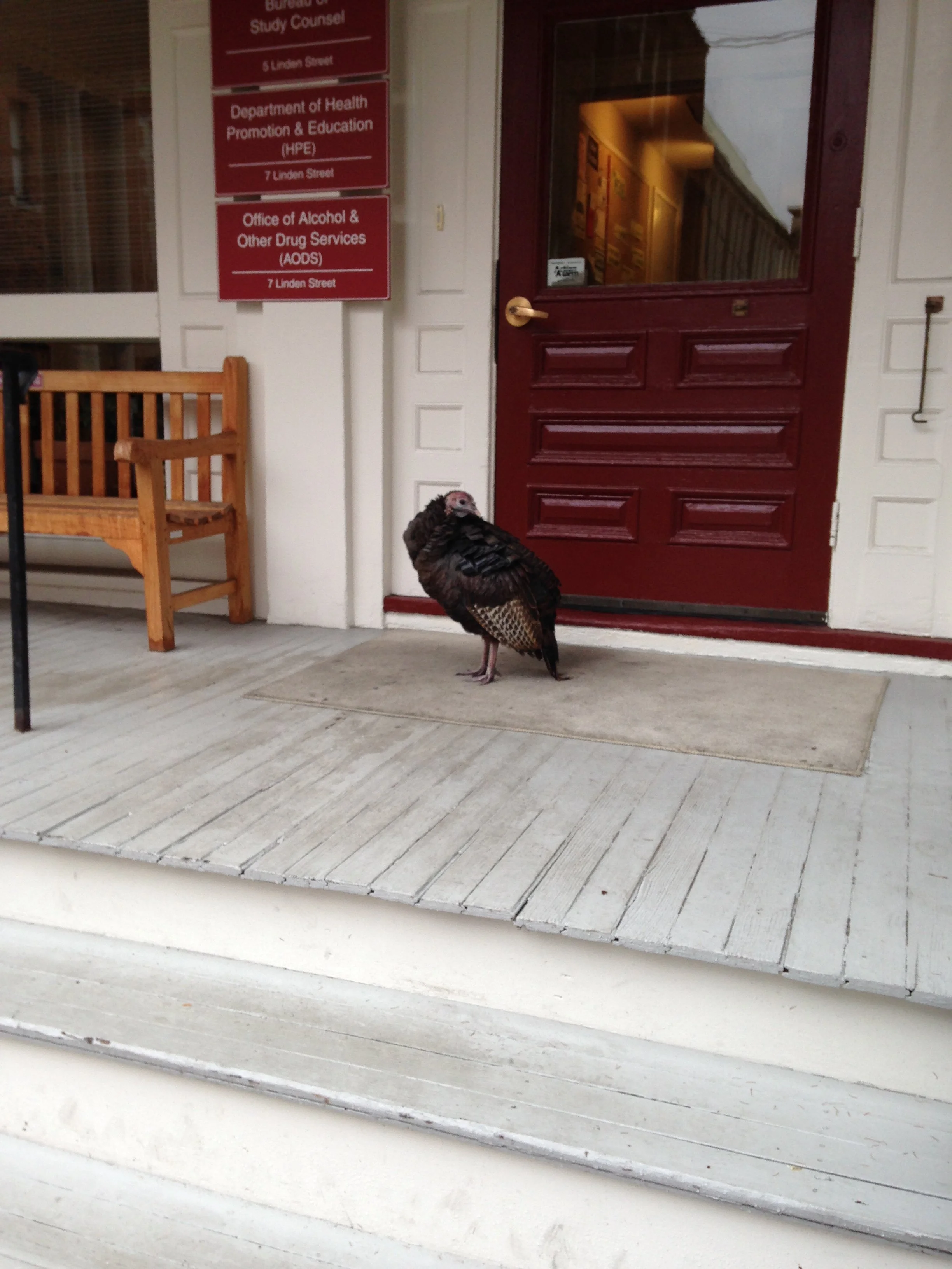 12-07pm wednesday.jpg