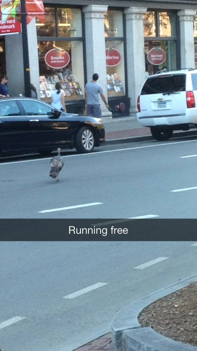 9-22am wednesday.jpeg