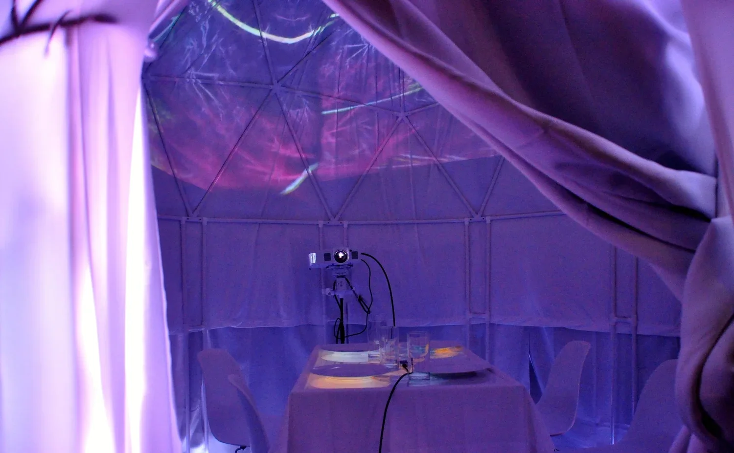 sues+dome+crop (1).webp