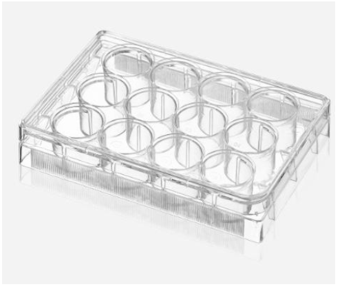 12 well plate.png