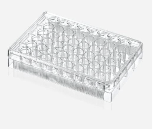 TC Cell Culture Plates, 48 Wells