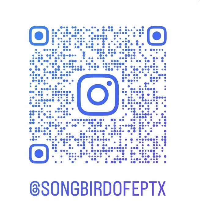 Instagram QR code with the username @SONGBIRDO FETX displayed below.