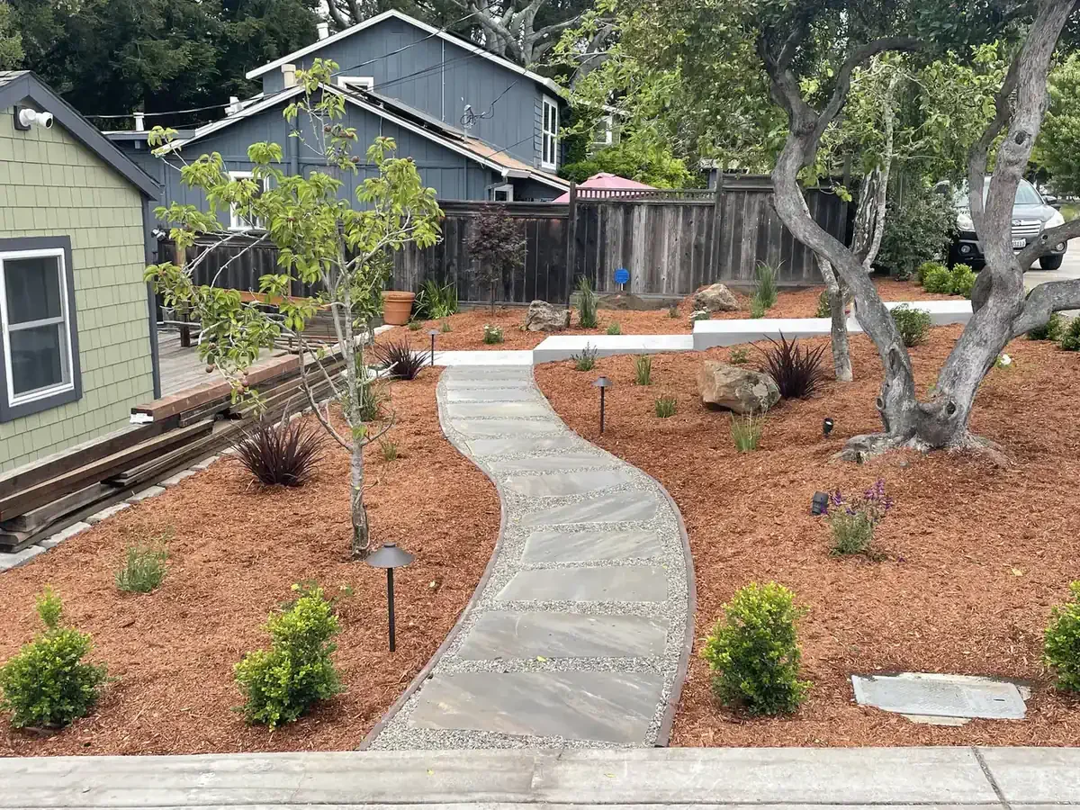 A landscaped backyard with a curved stone pathway, small plants, bushes, trees, rocks, and outdoor lighting, behind a wooden fence.