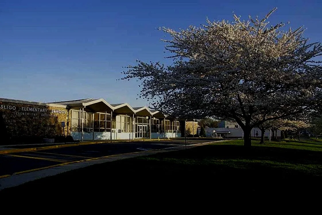 A school building with a parking lot and a large blossoming tree in the foreground under a clear blue sky.