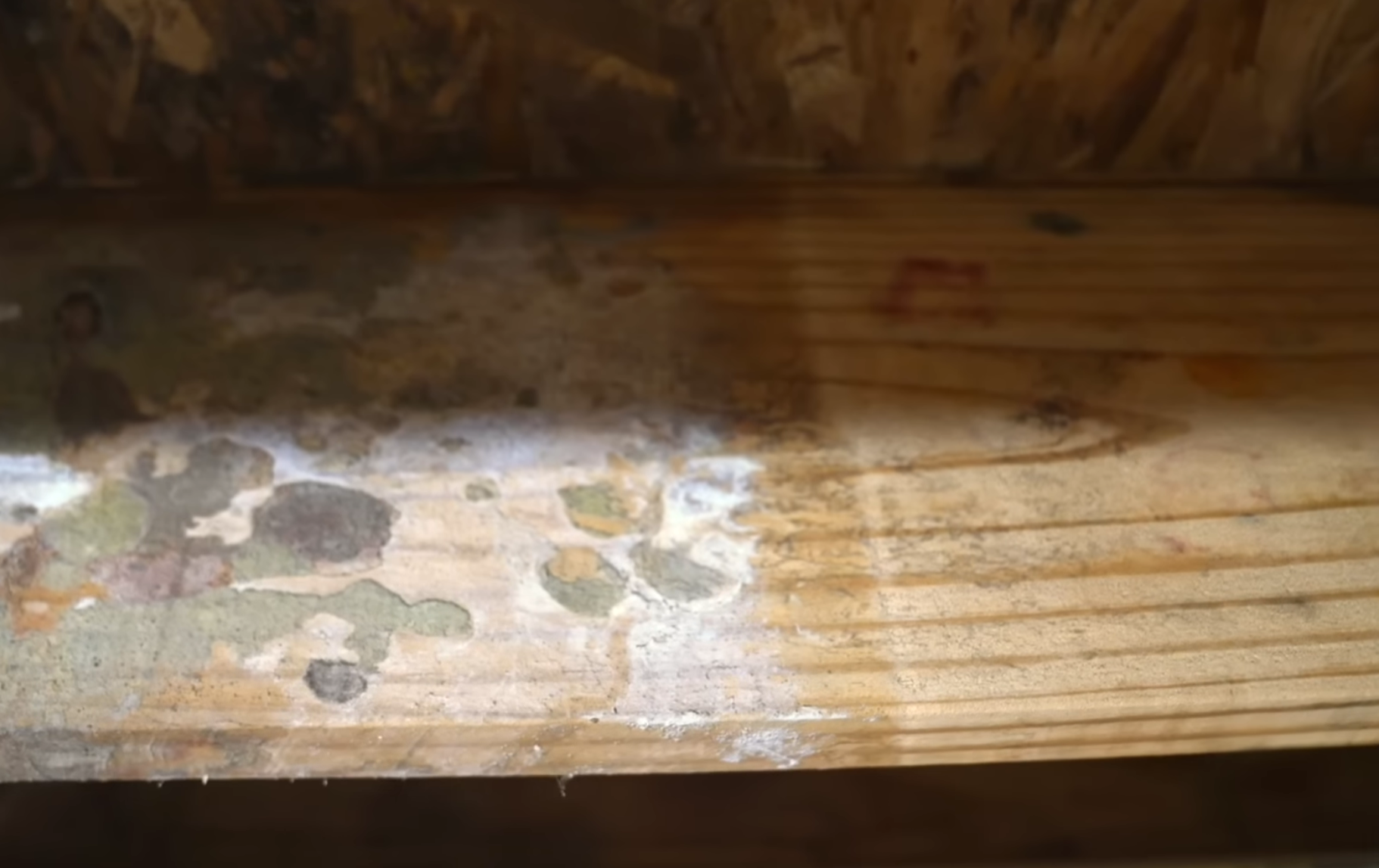 Removing mould from joist using dry ice cleaning