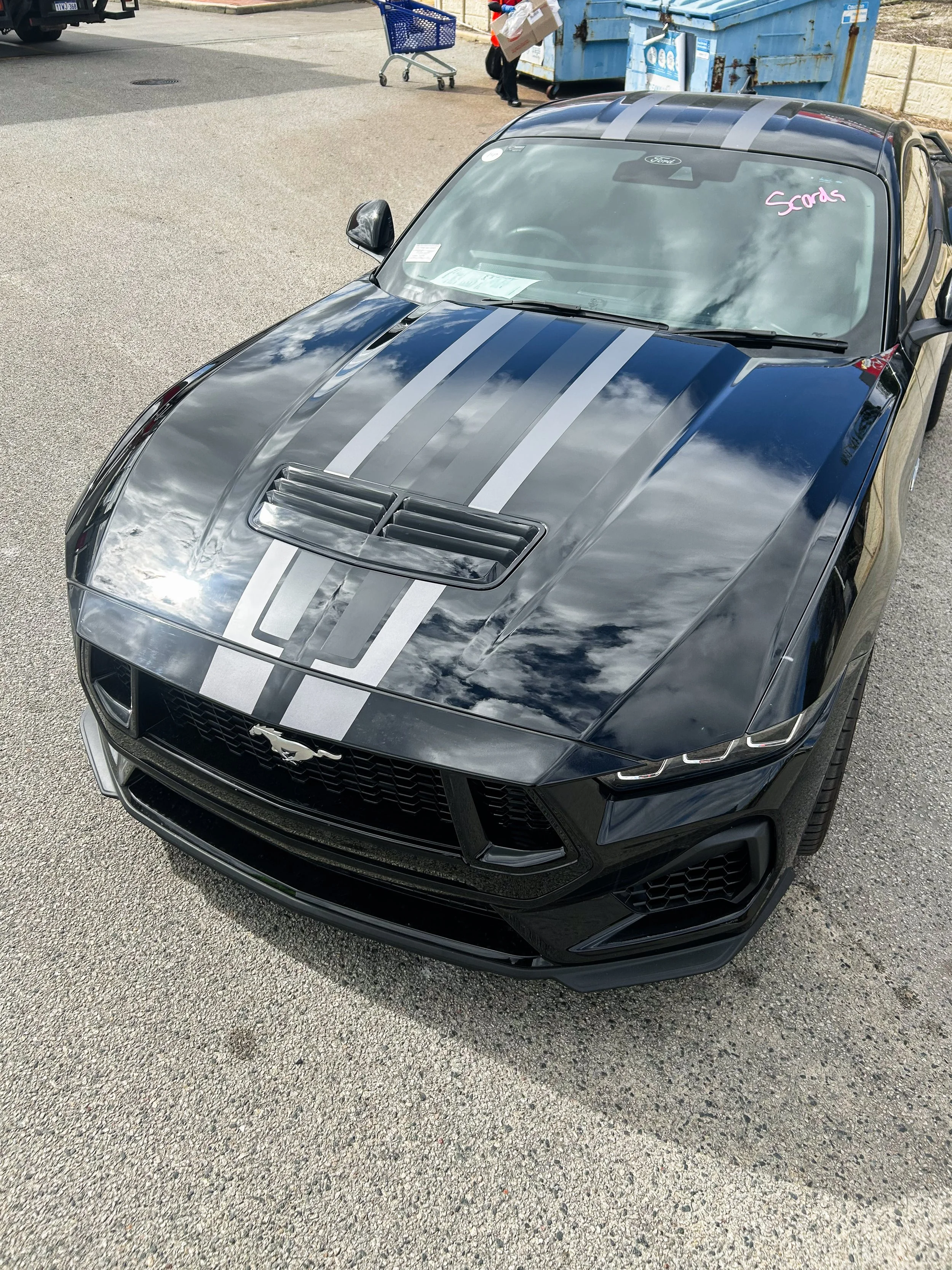 A black Ford Mustang with two gray racing stripes on the hood and roof, parked on a concrete lot near a blue dumpster and shopping cart, with the word 'Scores' written in pink on the windshield.
