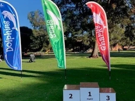 Three colorful flags for Dolphins, Sea Eagles, and Sharks on a grassy field with trees, and a tiered winners' podium numbered 1, 2, and 3. Education portable signage