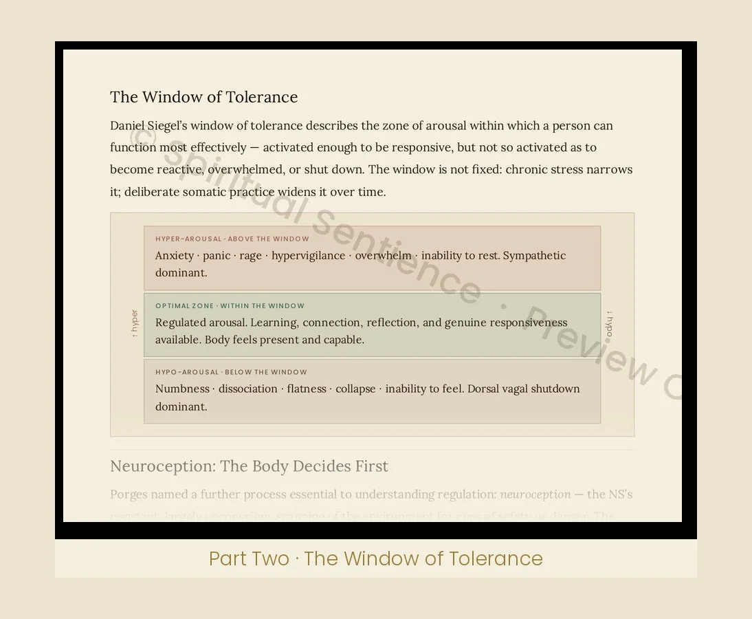 product_04_window_diagram.jpg