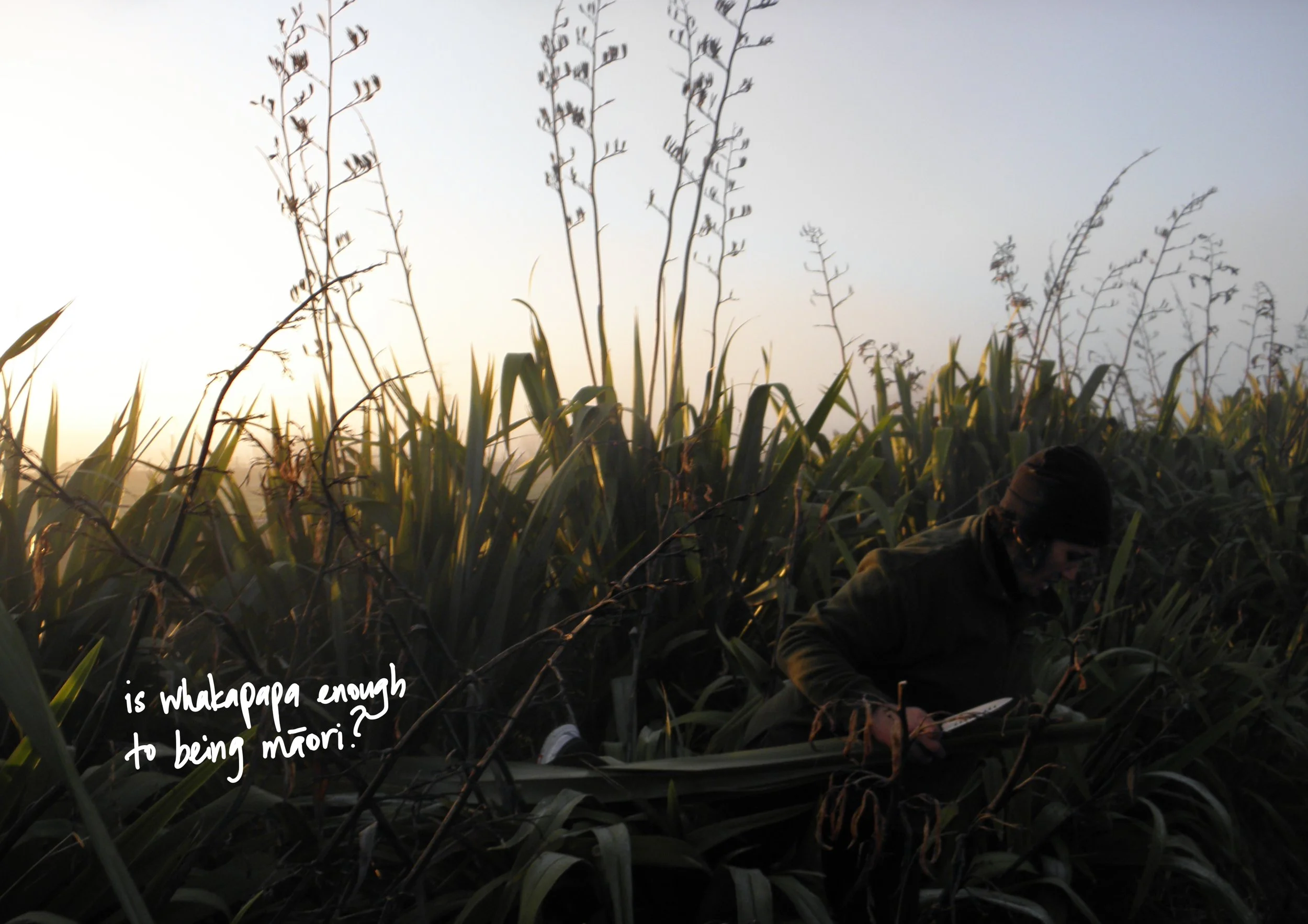 Image: Reirei Kingi harvesting Harakeke for our kaupapa in Orakei. This is my visual reflection on Politics of Recognition - Glen Coulthard. 