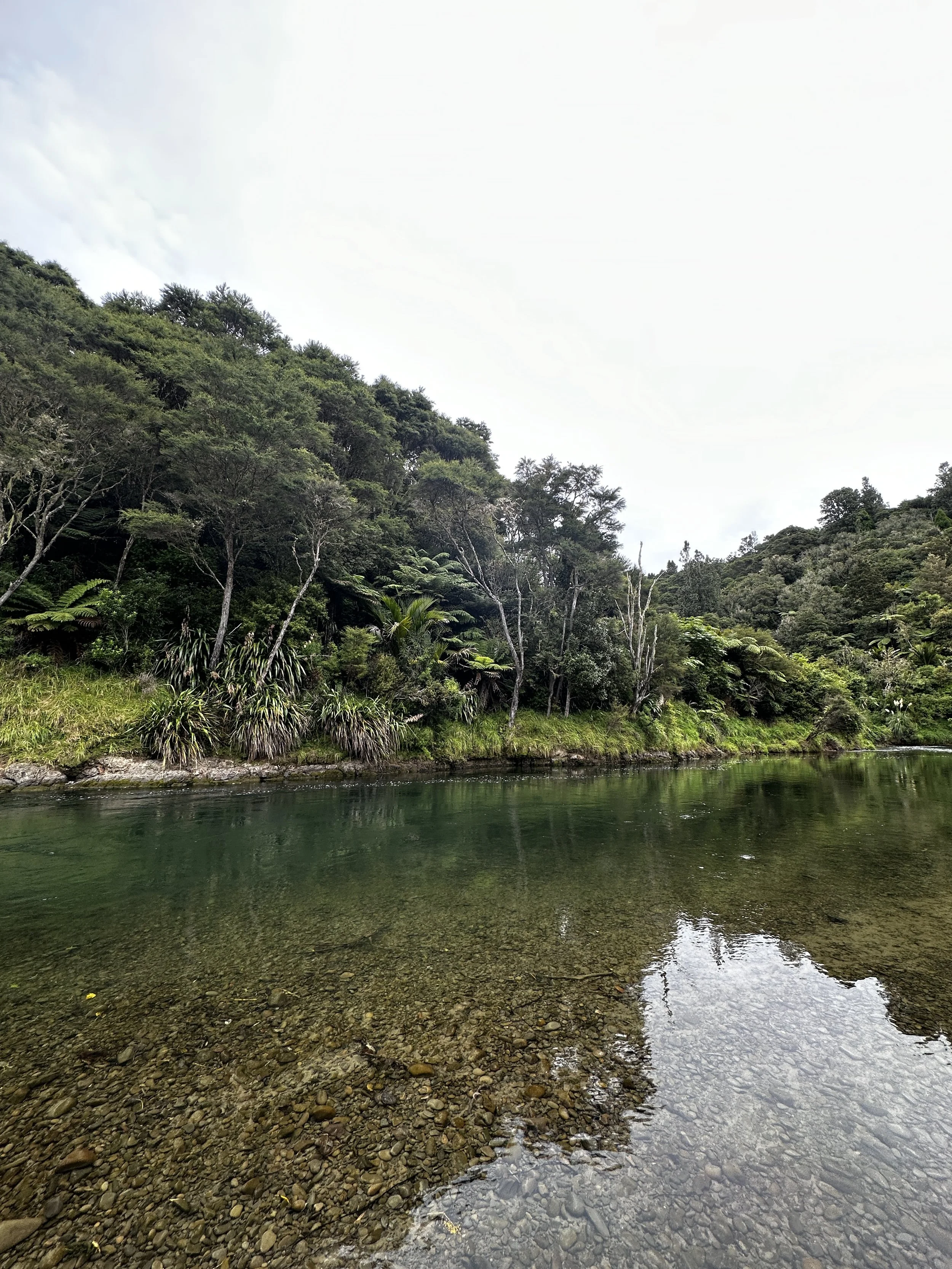 Image:  Waimana gorge, also known as Turangi awa. "Freedom is acquired by conquest, not by gift" (Freire, 2005, p. 47) 