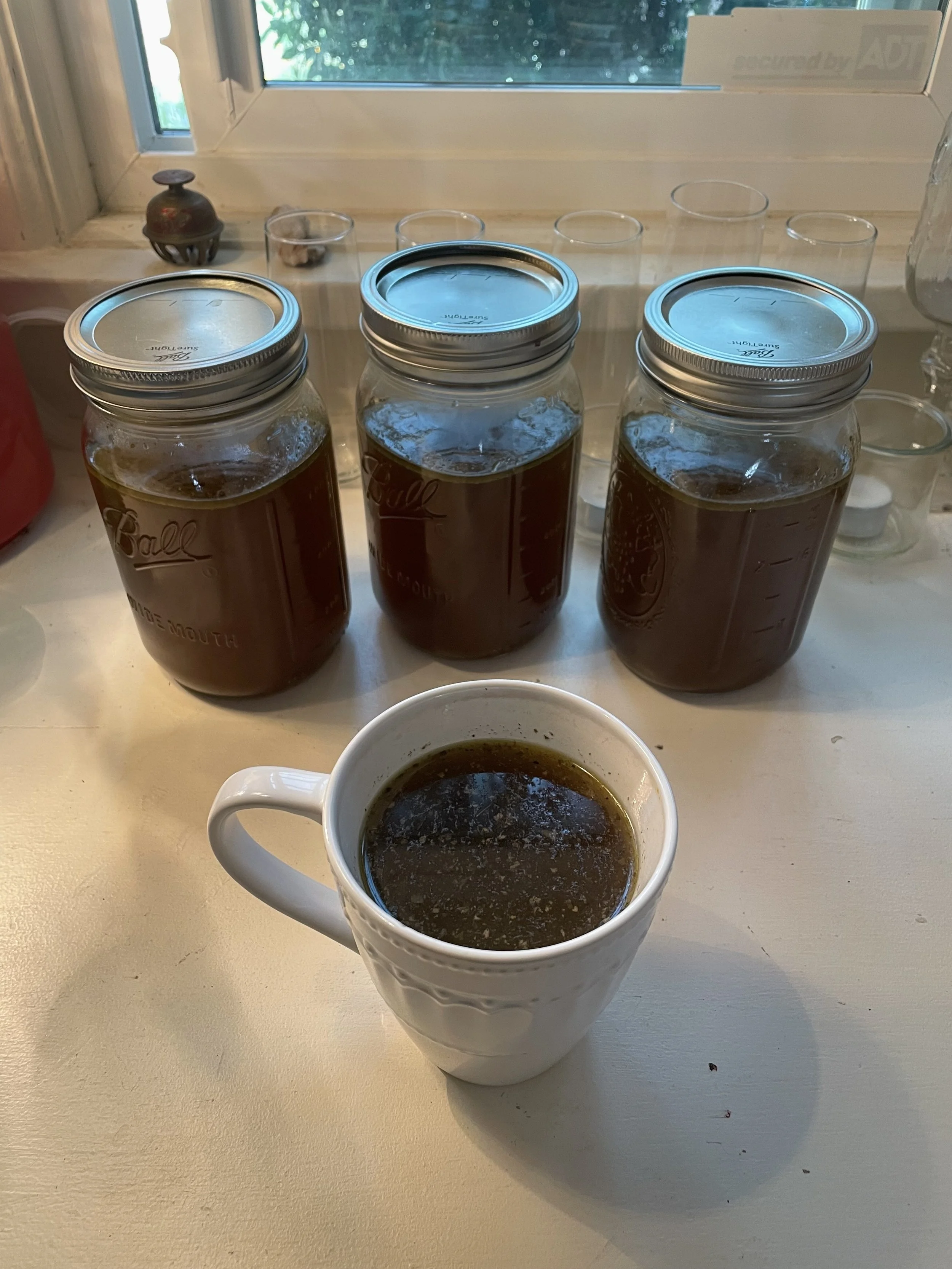 Homemade Bone and Veggie Broth
