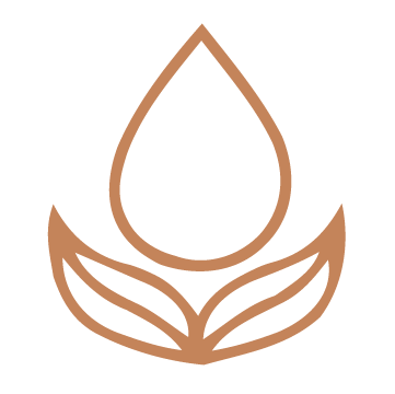 Minimalist line drawing of a water droplet above stylized leaves.